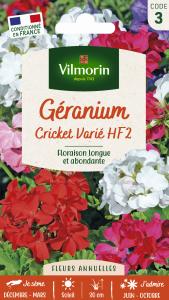 Géranium Cricket Varié